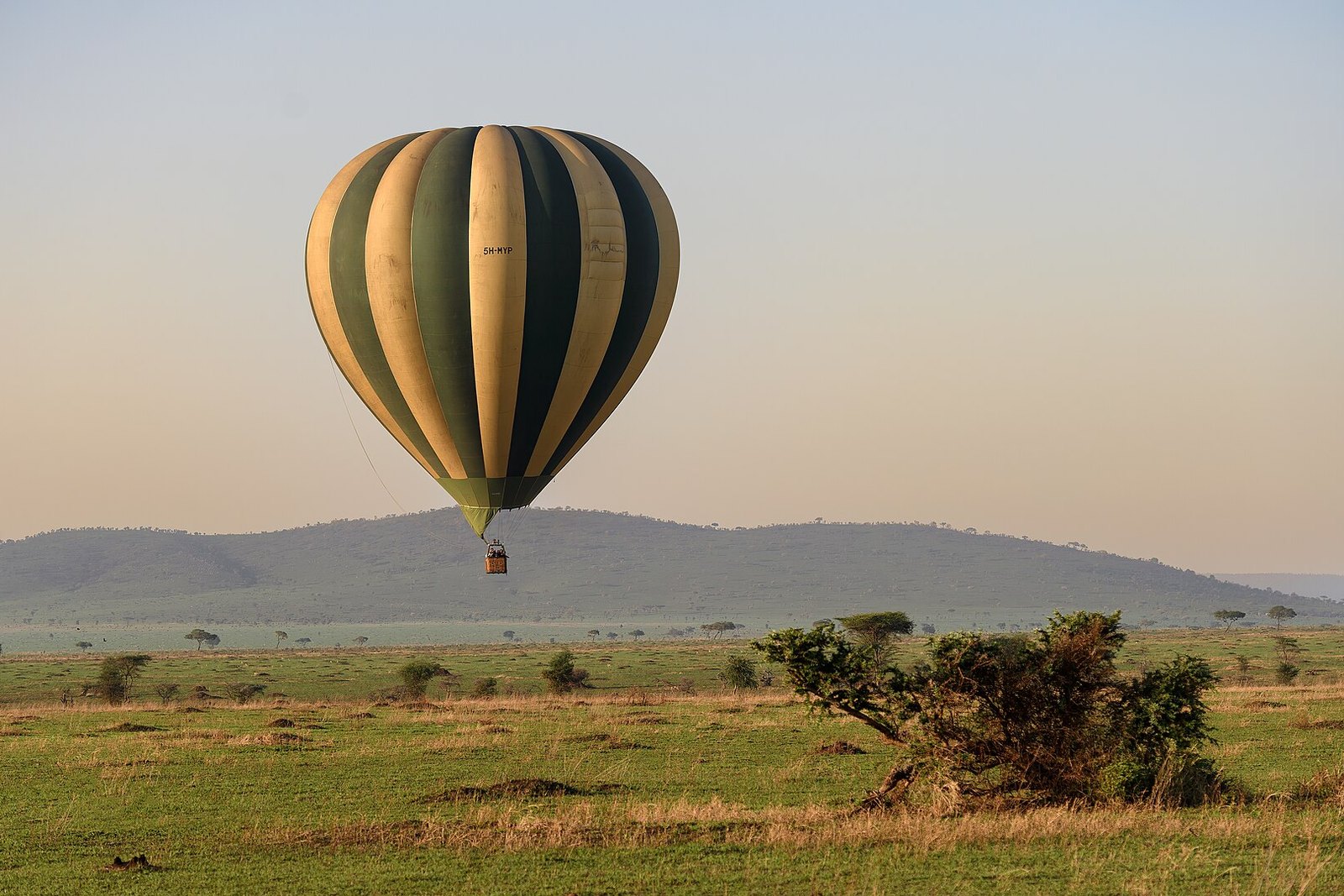 Luxury Fly-In Safari